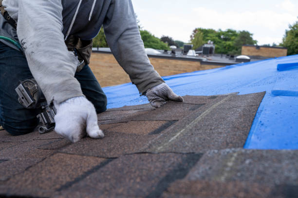 Best Storm Damage Roof Repair  in Clyde, OH